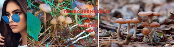 кокс Армянск
