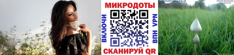 мега ONION  Старица  Псилоцибиновые грибы Psilocybe 